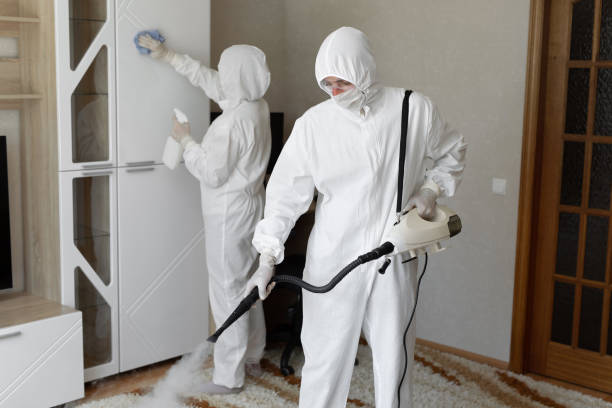Trusted Sewage Cleanup service in Yellow Springs, OH - Four Month Blood Cleanse