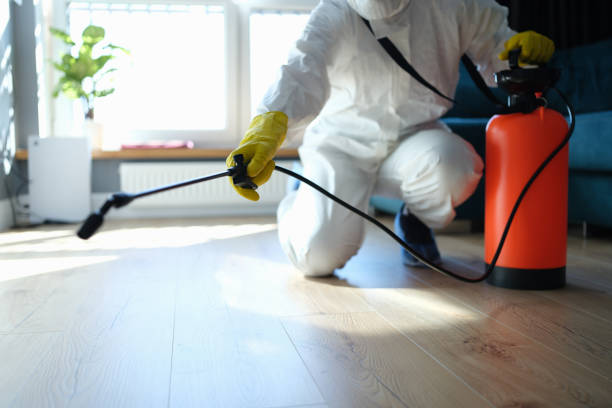 Trusted Odor Removal service in Yellow Springs, OH - Four Month Blood Cleanse